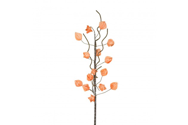 KW/FLORE/582A 92X40 POMA 712
