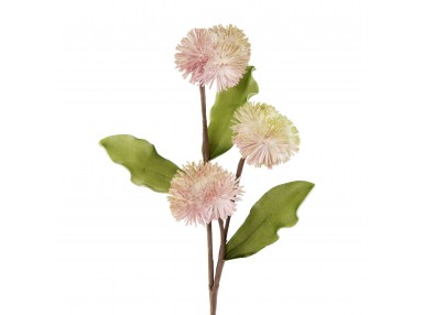 KW/FLORE/598C 67X30 ZIEL 712