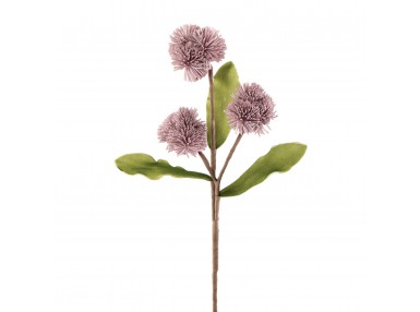 KW/FLORE/598D 67X30 WRZO 712