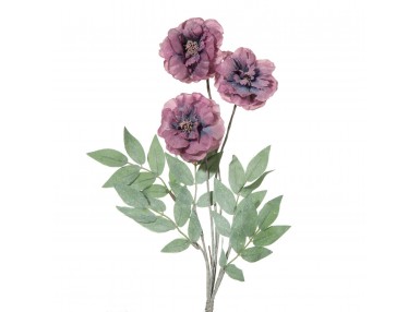 KW/NATU/139/J.F J.FIOL 230