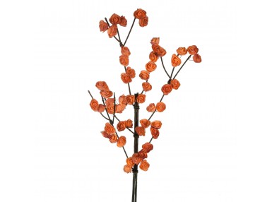 KW/FLORE/516/POM POMA 196