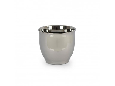 Pl Osłonka Duża Srebrna