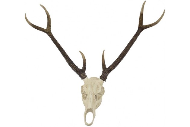 Figura Poroże-Prom.