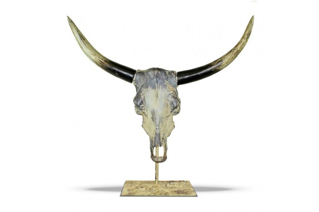 Figura Bawola Głowa