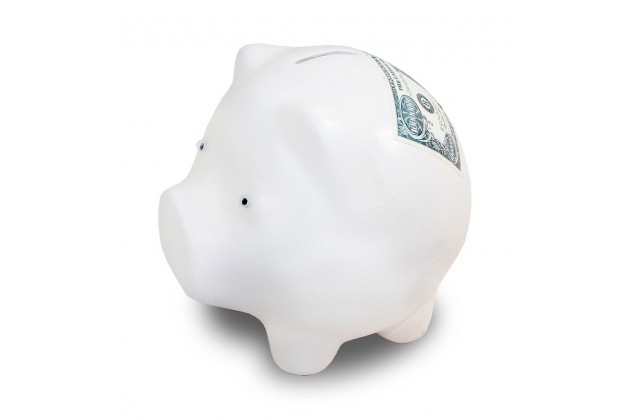 Pl Skarbonka Duża Świnka