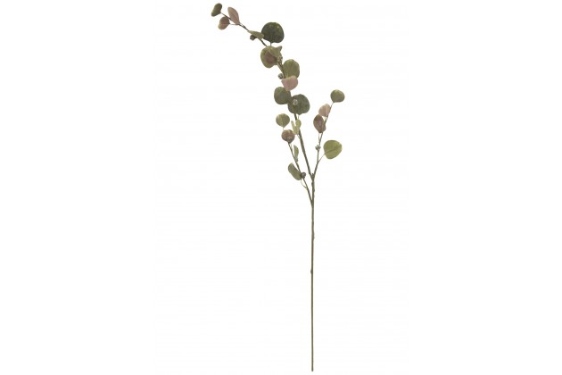 Pl Gałązka Sztuczna Eucalyptus 114 Cm Spray-Prom.