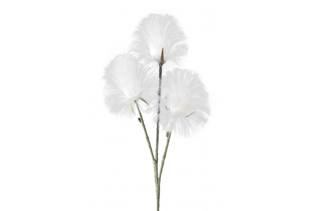 KW/NATU/24/B 89X28 B 712