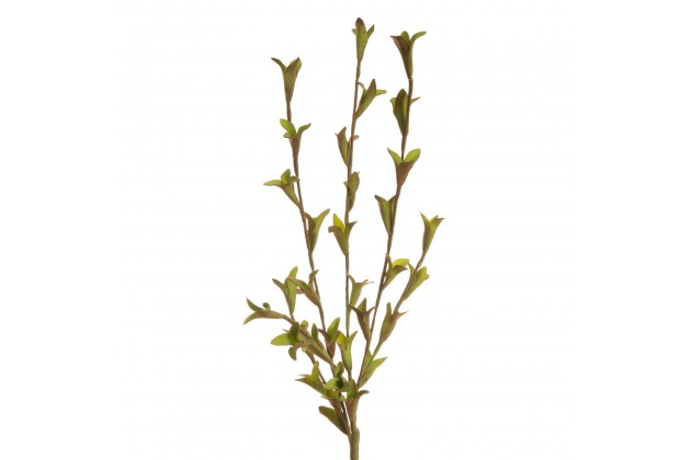 KW/FLORE/652/ZIE 93X20 ZIEL 877