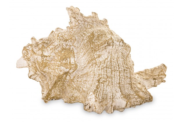 Art. Dekoracyjny Muszla