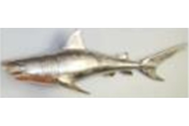 Dekoracja Ścienna Rekin