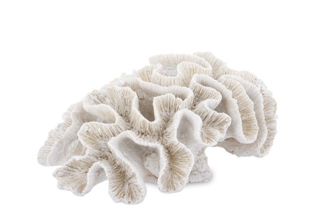 Art. Dekoracyjny Koralowiec