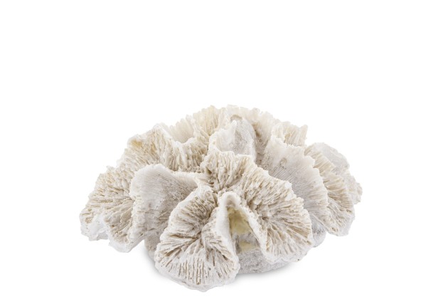 Art. Dekoracyjny Koralowiec